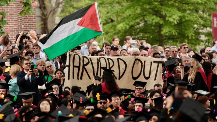 harvard,-northwestern-failed-jewish-students-during-college-campus-protests:-house-report