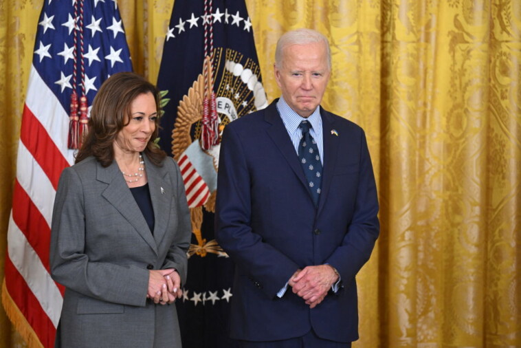 the-most-absurd-dei-moments-under-biden-harris