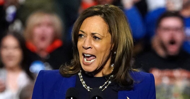 watch:-kamala-harris’-rally-speech-devolves-into-total-nonsense-when-hecklers-get-under-her-skin