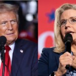 trump-campaign-responds-to-‘fake-news’-claiming-he-called-for-liz-cheney-to-be-‘fired-upon’