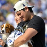 shohei-ohtani’s-adorable-dog-takes-center-stage-at-dodgers’-world-series-celebration