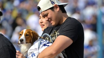 shohei-ohtani’s-adorable-dog-takes-center-stage-at-dodgers’-world-series-celebration