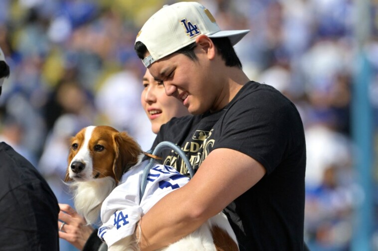 shohei-ohtani’s-adorable-dog-takes-center-stage-at-dodgers’-world-series-celebration