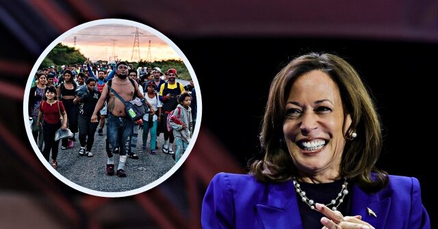 kamala’s-opportunity-economy:-foreign-workers-score-over-1-million-jobs,-nearly-800k-americans-lose-jobs