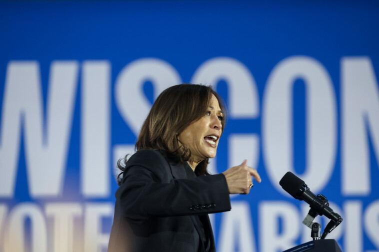 kamala-harris-is-losing-muslim-vote-to-green-party-candidate-jill-stein:-poll