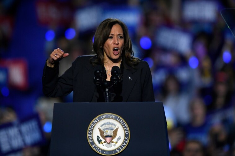 harris-campaign-targets-different-messages-about-israel-hamas-war-to-jewish,-arab-american-voters