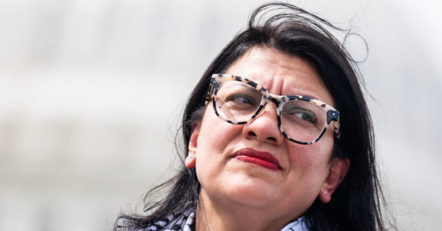 rashida-tlaib-chooses-not-to-endorse-kamala-harris-at-uaw-rally