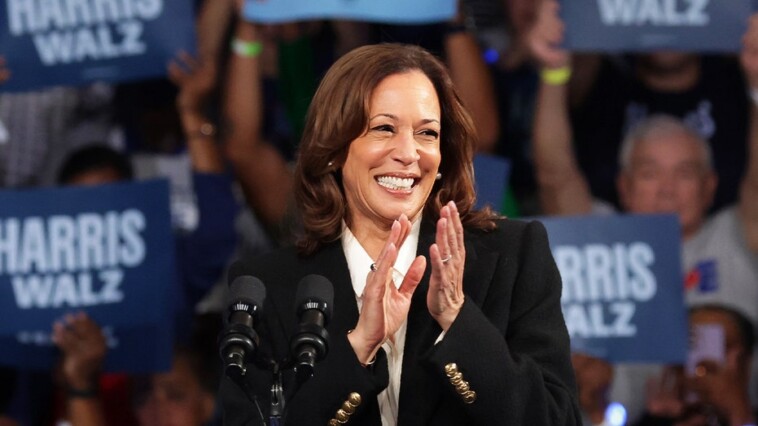 dem-insiders-head-into-final-election-stretch-confident-on-harris-win:-‘nauseously-optimistic’