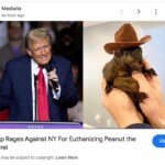 anti-trump-website-falls-for-fake-statement-about-peanut-the-squirrel’s-death