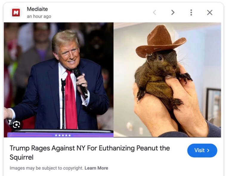 anti-trump-website-falls-for-fake-statement-about-peanut-the-squirrel’s-death