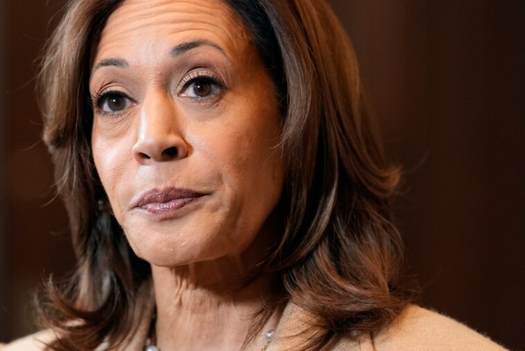 expert-issues-warning-over-the-‘elephant-in-the-room’-that-harris-has-been-quiet-about