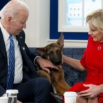 peanut-the-squirrel-never-hurt-anyone-that’s-more-than-you-can-say-about-biden’s-dogs.