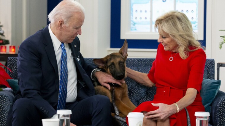 peanut-the-squirrel-never-hurt-anyone-that’s-more-than-you-can-say-about-biden’s-dogs.