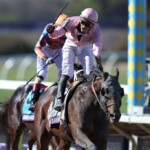 sierra-leone-captures-breeders’-cup-classic-after-kentucky-derby-heartbreak