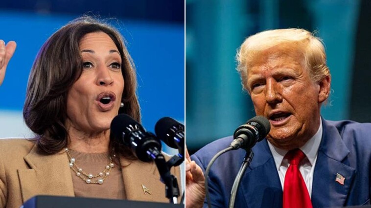 shock-poll-has-harris-leading-trump-in-iowa-with-3-point-shift-toward-vice-president-in-red-state