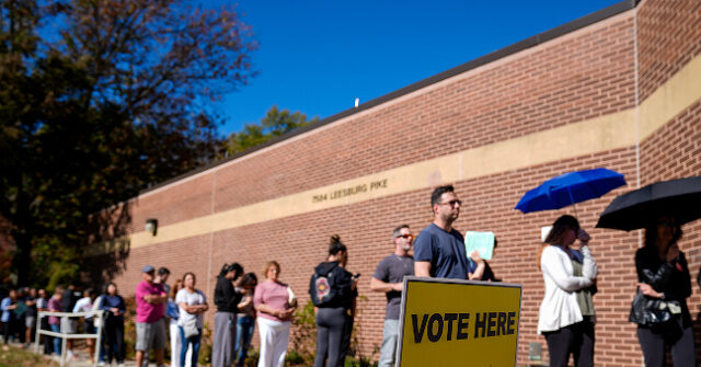 kamala-harris:-‘it-will-take-time-to-count-every-vote’