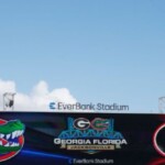 video-shows-cops-beating-fans-at-florida-georgia-game