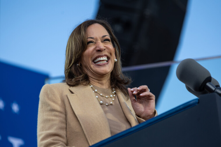 kamala-running-pro-palestinian-ads-in-michigan,-pro-israel-ads-in-pennsylvania