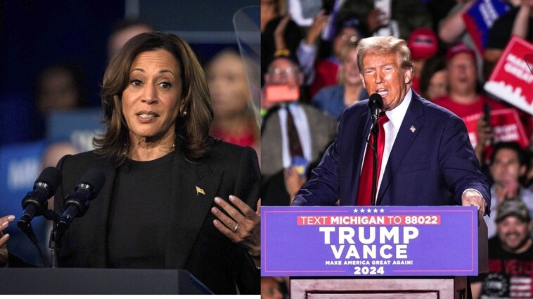 final-swing-state-polls-show-kamala-harris’-fate-tied-to-the-blue-wall-— though-plenty-of-drama’s-possible