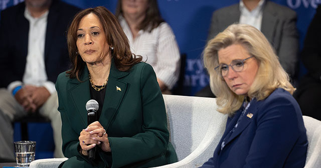 retired-army-colonel:-gwot-vets-feel-extreme-resentment-toward-kamala-harris,-cheney,-and-democrats