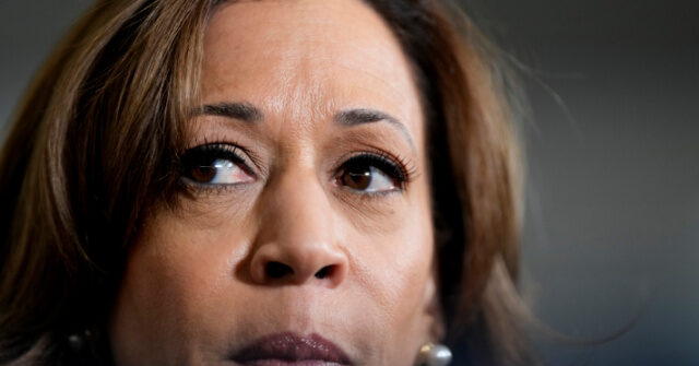 watch-—-former-obama-aide:-early-voting-numbers-look-‘scary’-for-kamala-harris