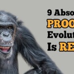 9-absolute-proofs-evolution-is-real