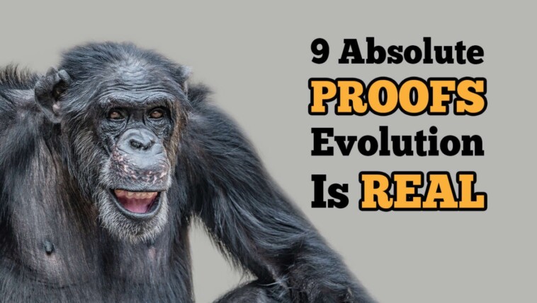 9-absolute-proofs-evolution-is-real