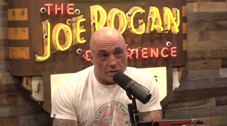 joe-rogan-announces-‘endorsement-of-trump’-while-promoting-elon-musk-interview-on-x