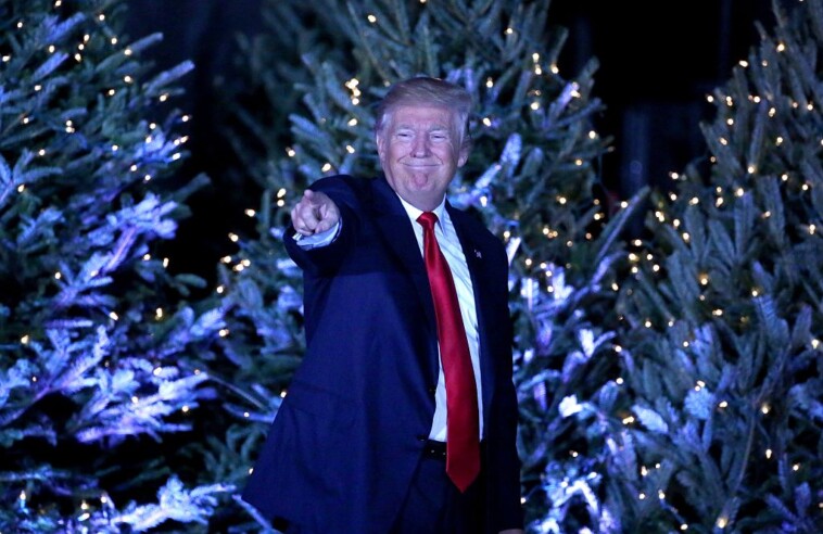 ‘how-dare-we-speak-merry-christmas:’-trump-team-posts-kamala-flashback,-promises-christmas-cheer