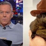 greg-gutfeld:-you-‘red-pill’-americans-by-raiding-their-homes-and-murdering-their-pets