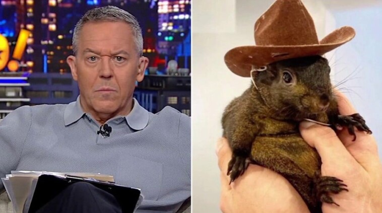 greg-gutfeld:-you-‘red-pill’-americans-by-raiding-their-homes-and-murdering-their-pets