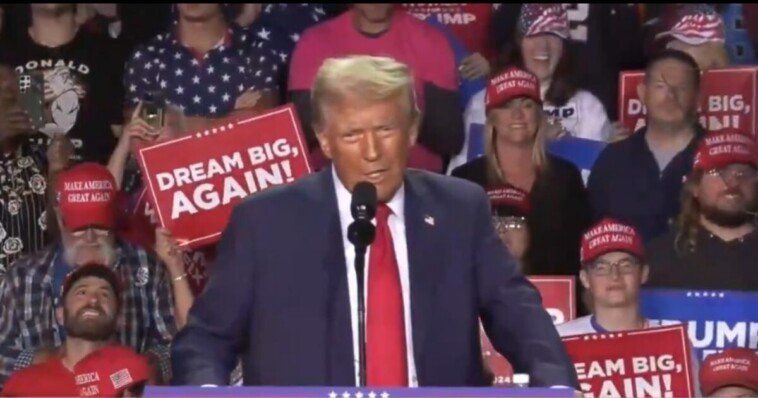 president-trump-tells-crowd-at-final-campaign-rally-in-grand-rapids,-michigan-—-“we’re-in-very-good-shape”-(video)