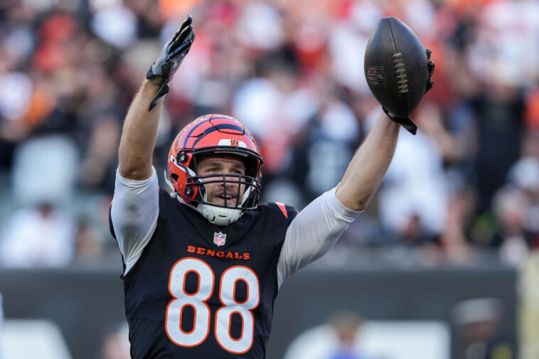 fantasy-football-week-10-rankings:-tight-ends-(half-ppr)