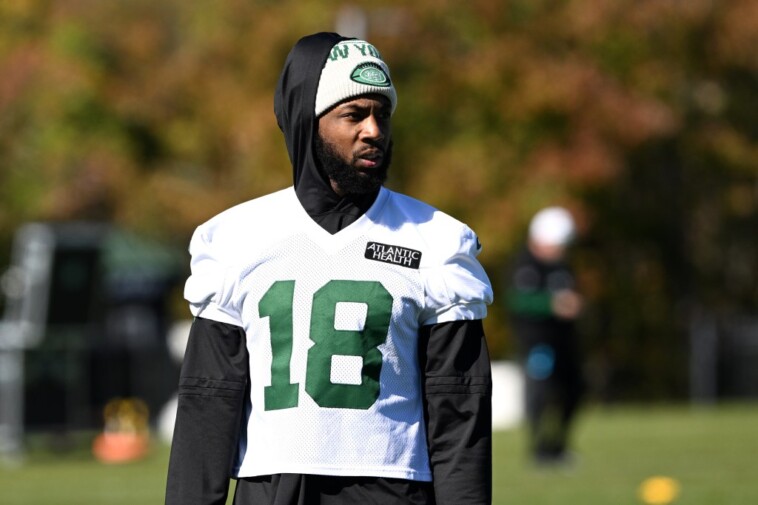 jets-trade-mike-williams-to-steelers-after-aaron-rodgers-criticism