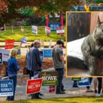 early-exit-polls-show-peanut-the-squirrel-with-commanding-lead