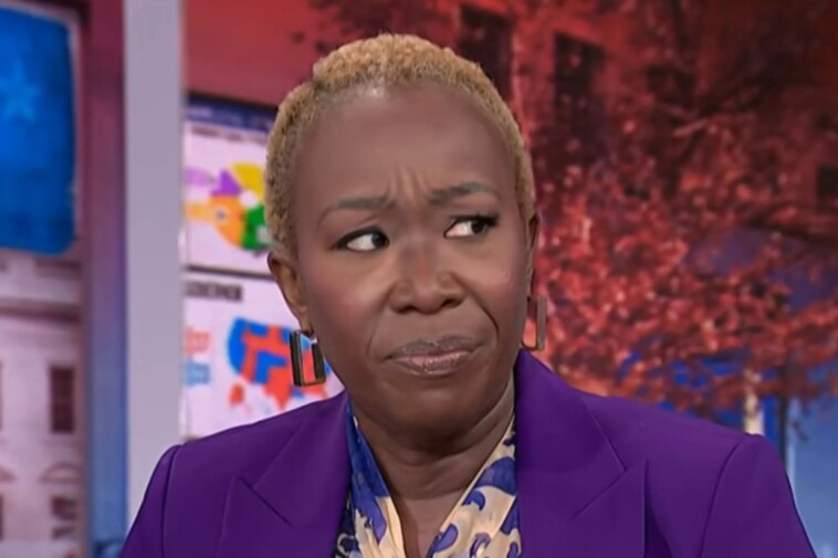 msnbc’s-joy-reid-rages-against-‘fascist-type-government’-after-florida’s-abortion-amendment-fails