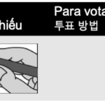 in-dc.-suburbs,-most-of-the-ballot-is-written-in-foreign-languages