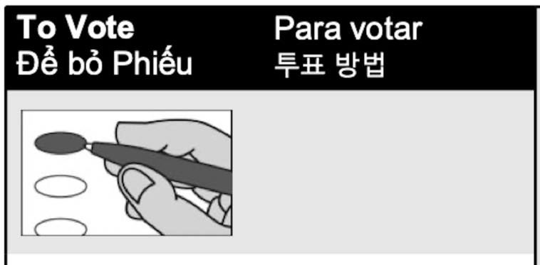 in-dc.-suburbs,-most-of-the-ballot-is-written-in-foreign-languages