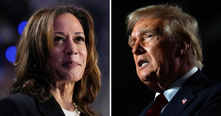 gamblers-giving-trump-22-point-advantage-over-harris-just-hours-before-polls-close