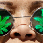 floridians-projected-to-reject-legalization-of-recreational-marijuana