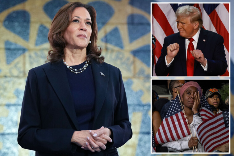 2024-election-live-updates:-harris-finally-calls-trump-to-concede,-president-elect’s-day-one-agenda-revealed