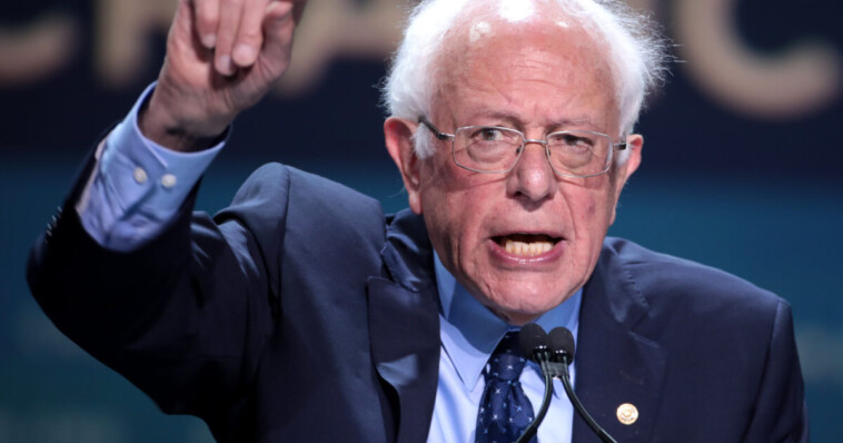 socialist-bernie-sanders-blasts-democrat-party-after-losing-the-presidential-election