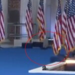 p’nut-the-squirrel’s-spirit-lives-on:-squirrel-spotted-running-across-the-stage-before-kamala-harris-concession-speech-(video)