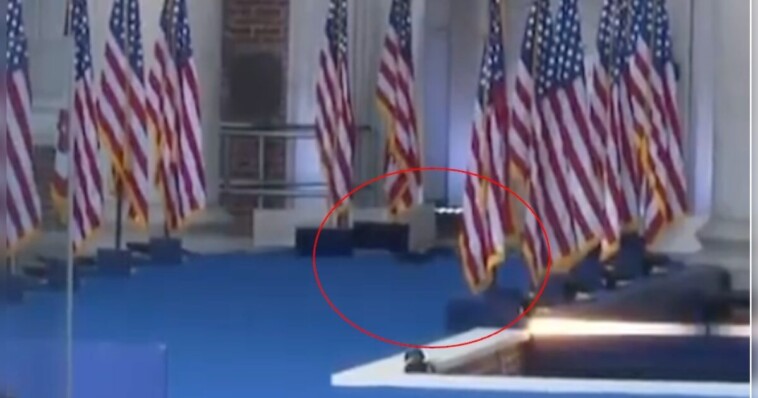 p’nut-the-squirrel’s-spirit-lives-on:-squirrel-spotted-running-across-the-stage-before-kamala-harris-concession-speech-(video)