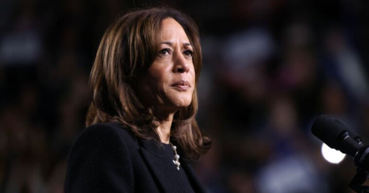 ‘unfathomably-painful’:-kamala-harris’s-campaign-suffering-meltdown-as-reality-settles-in