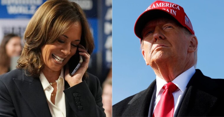 kamala-harris-finally-contacts-trump-12-hours-after-the-race-was-called