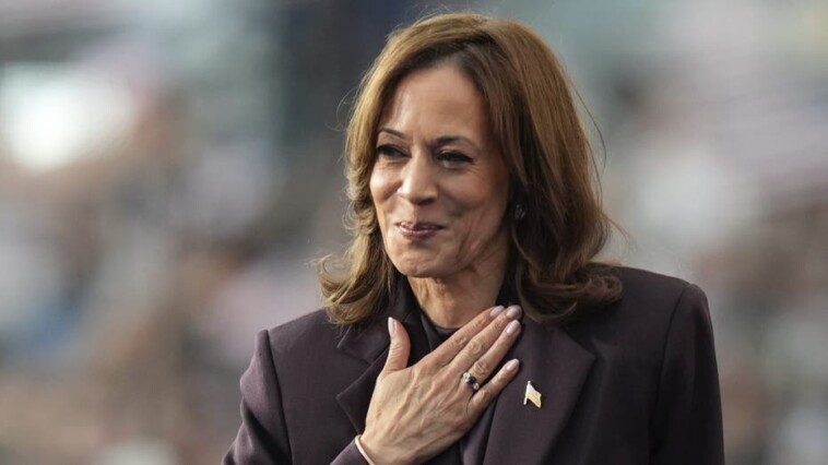 how-kamala-harris’-failed-2024-presidential-run-mirrors-her-ill-fated-2020-campaign