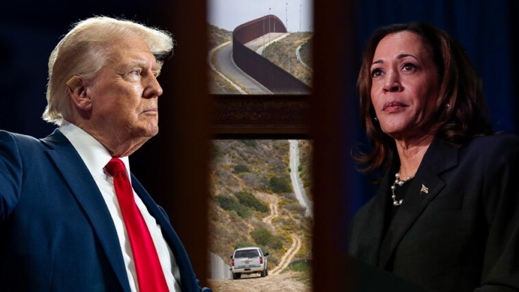 how-harris-was-dogged-by-‘border-czar’-label,-past-radical-immigration-views-during-failed-campaign