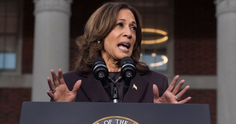 after-months-of-saying-democracy-dies-if-trump-wins,-kamala-confirms-it-was-all-a-lie-by-admitting-‘it’s-going-to-be-ok’