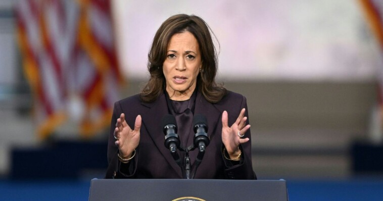 democrat-rep.-names-some-of-the-biggest-mistakes-his-party-made:-kamala-may-not-like-what-he-has-to-say